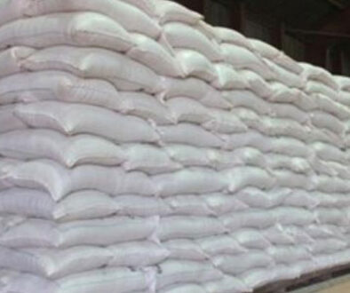 Let’s Embrace Alternative Uses Of Contaminated Maize