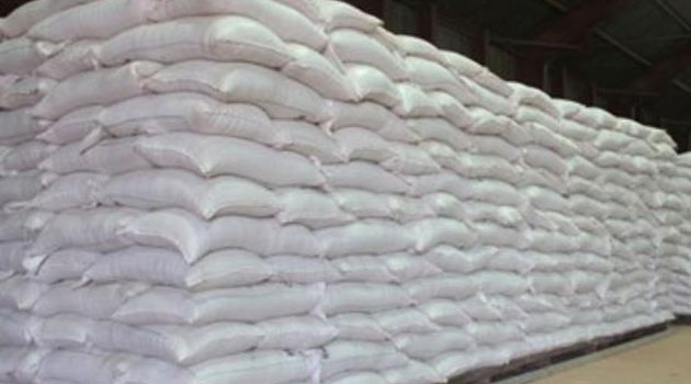 Let’s Embrace Alternative Uses Of Contaminated Maize