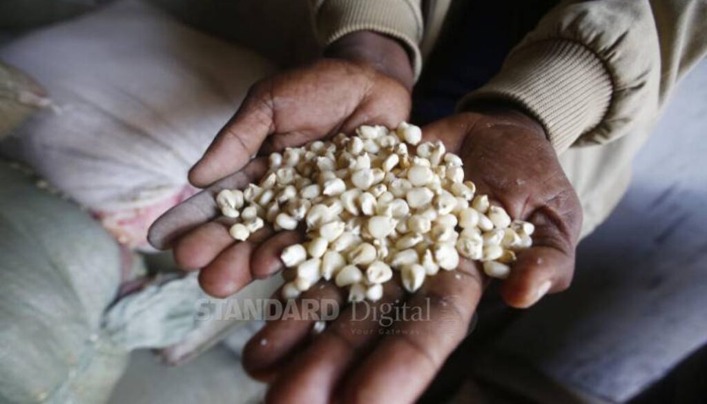 Kenya can’t regulate its way out of aflatoxin menace