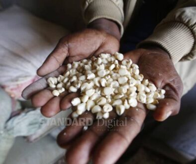 Kenya can’t regulate its way out of aflatoxin menace